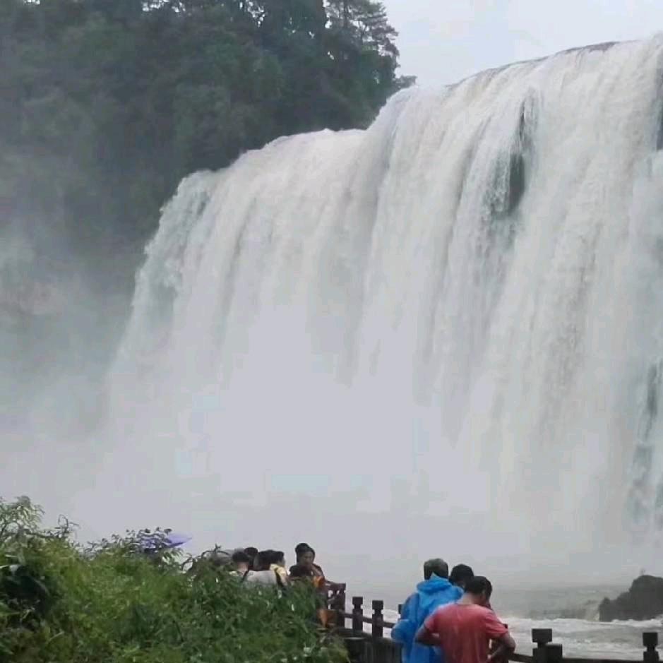 韦《韋》15.16《227372X》