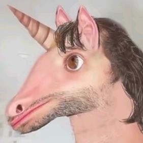 咕咕咕有四个咕