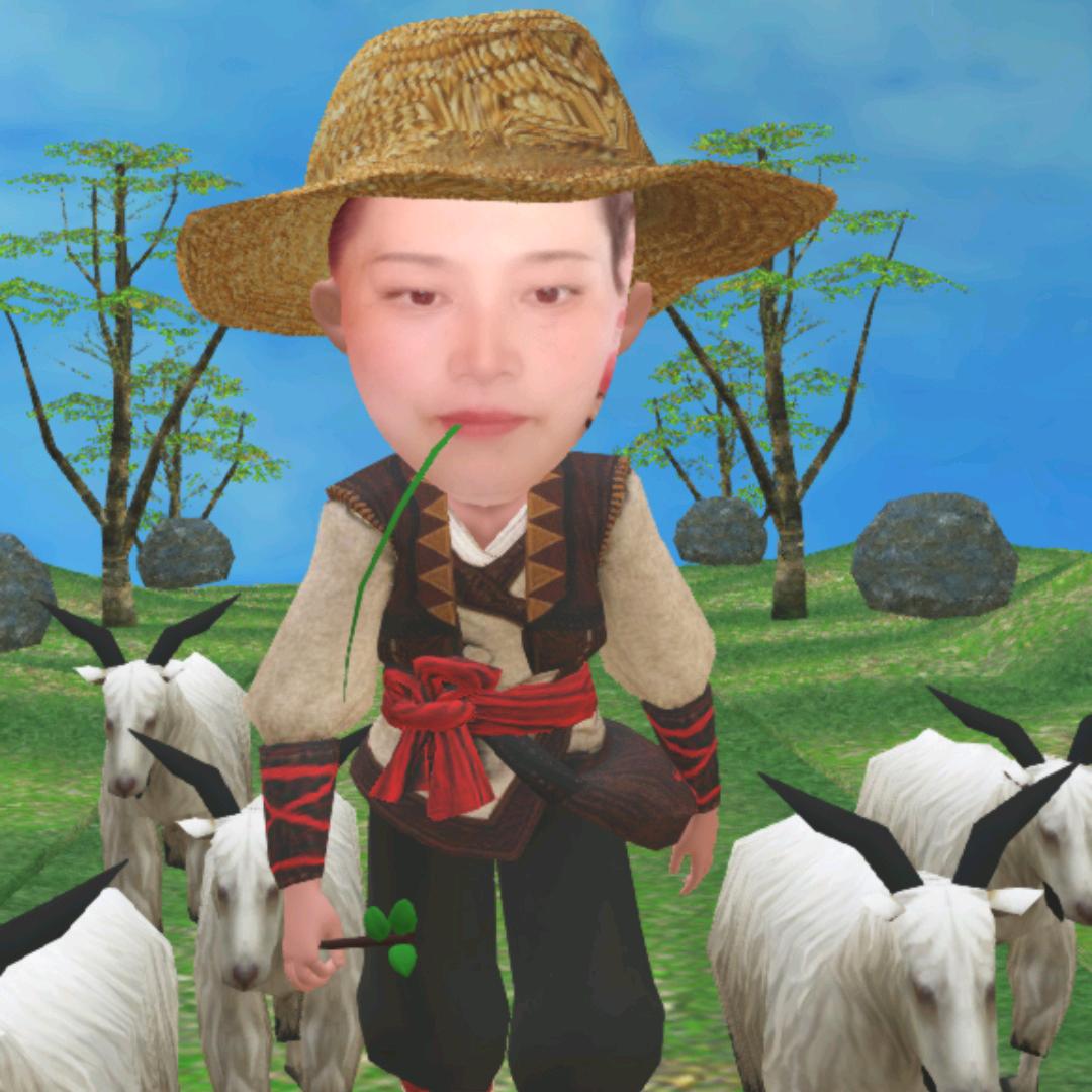 瑞锦