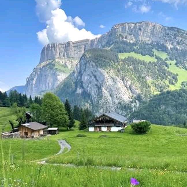 蕉太狼农牧优选