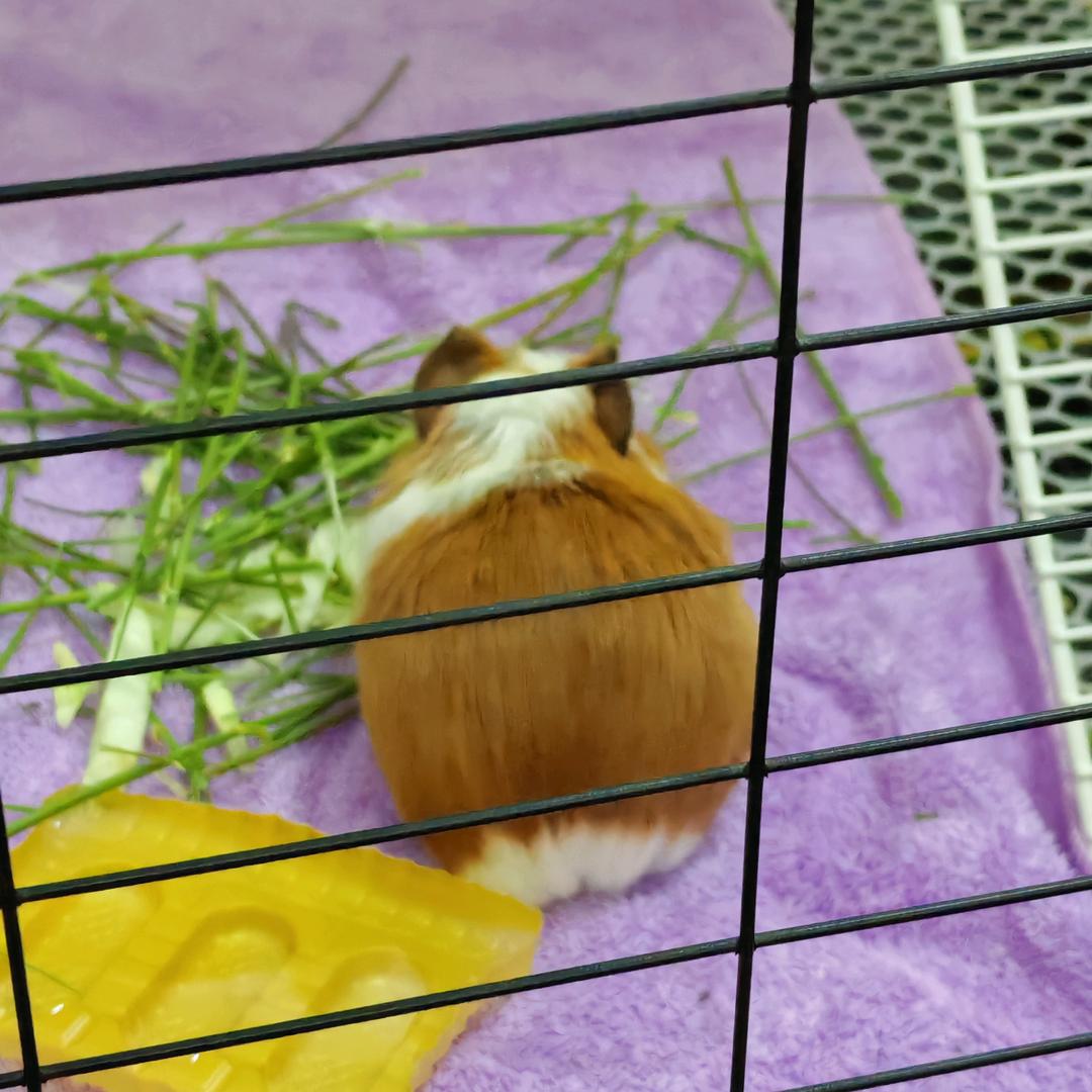 睡在我上铺的姐妹
