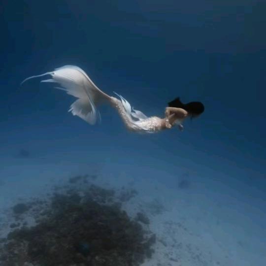 🦌得鹿梦鱼🦌