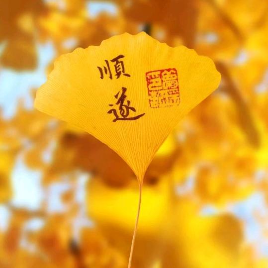 墨安瑾钰