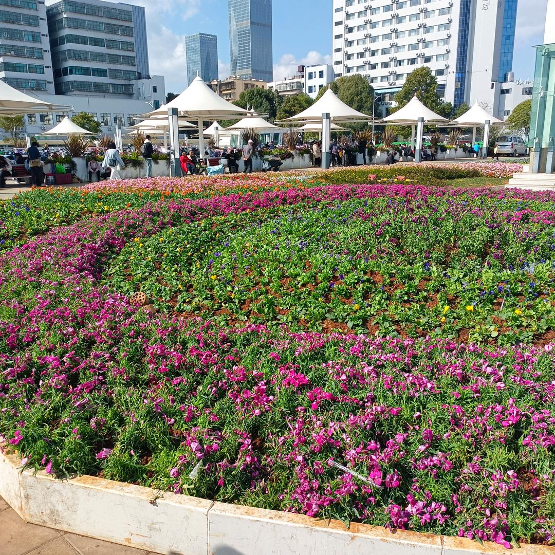 🥀এ᭄累了谁💔疼ོ࿐ᩚ《拒绝连赞》