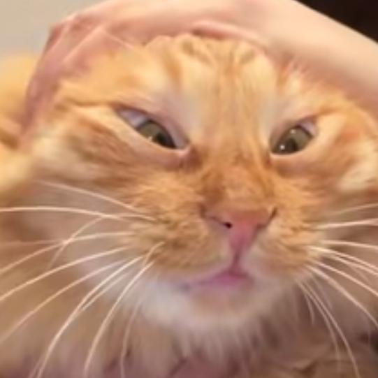 穿8厘米的高跟暴走一天，现在脑袋尖尖的