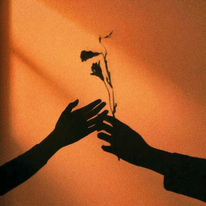 🦋꧔ꦿ᭄💞黄上曾帅꧔ꦿ᭄💞