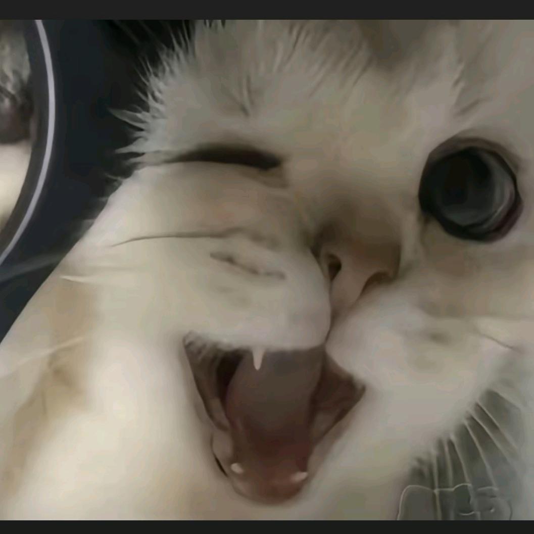 Hello鸡蒂猫