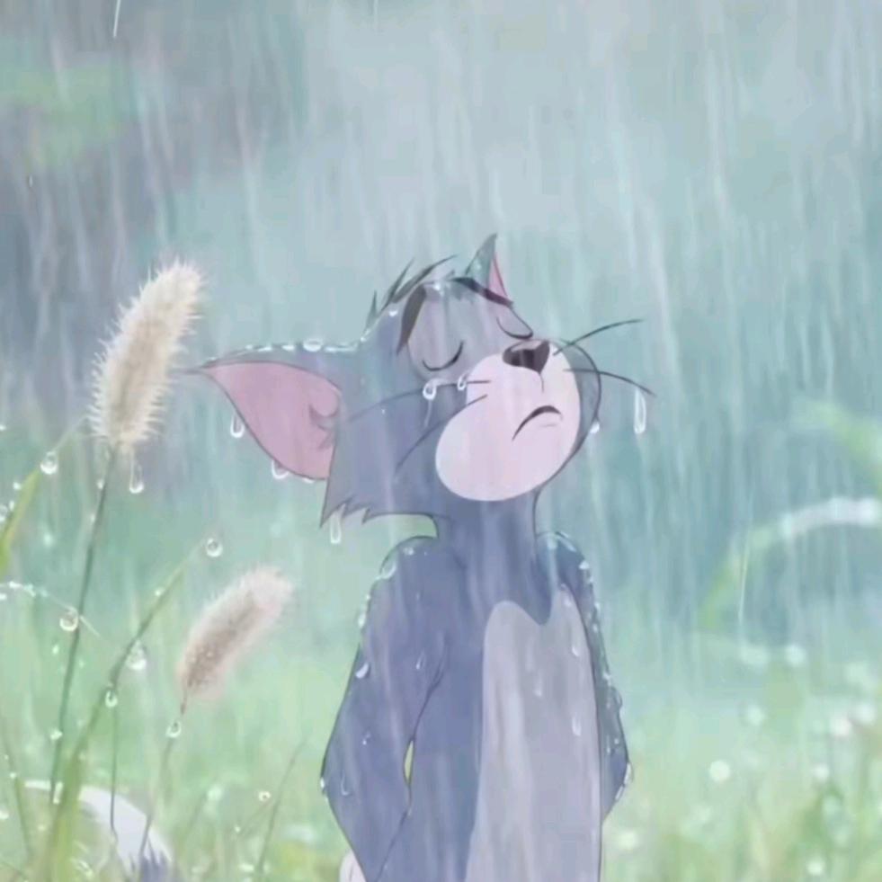 浩皓