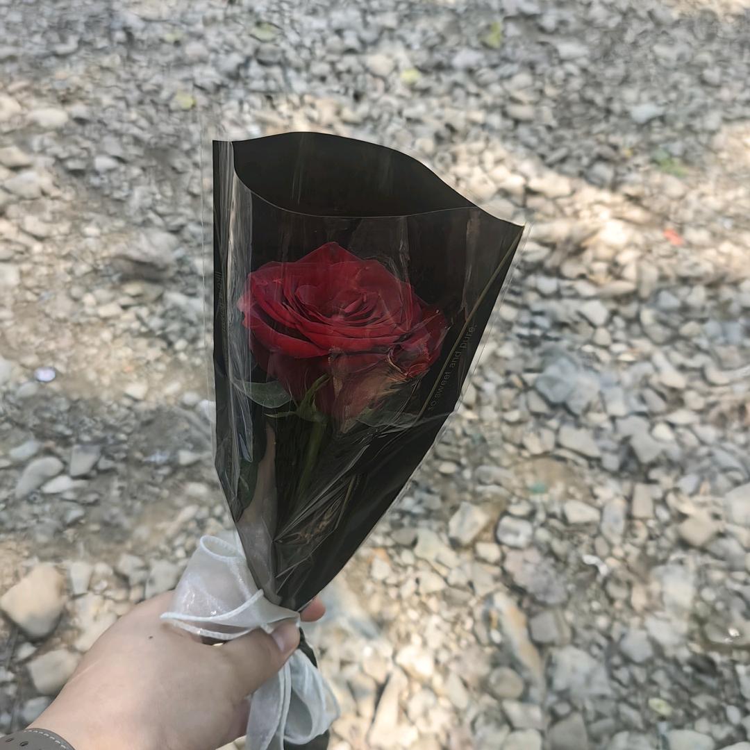 王吖吖