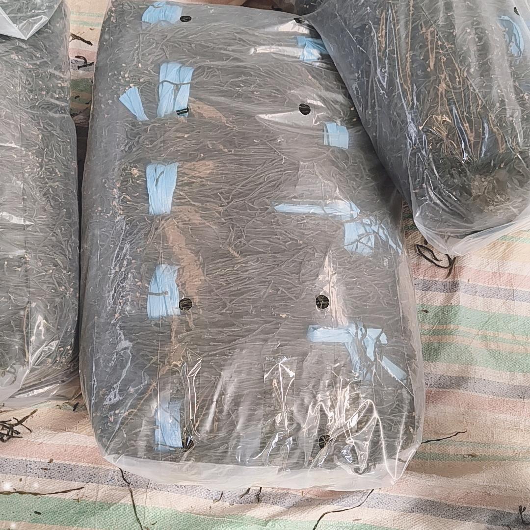 三个女人一台戏