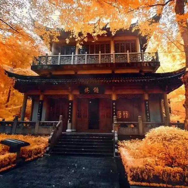 Provenceつ㞮孞🇨🇳