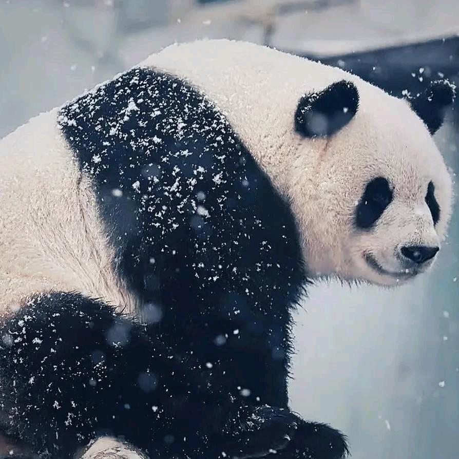 大不了小用户