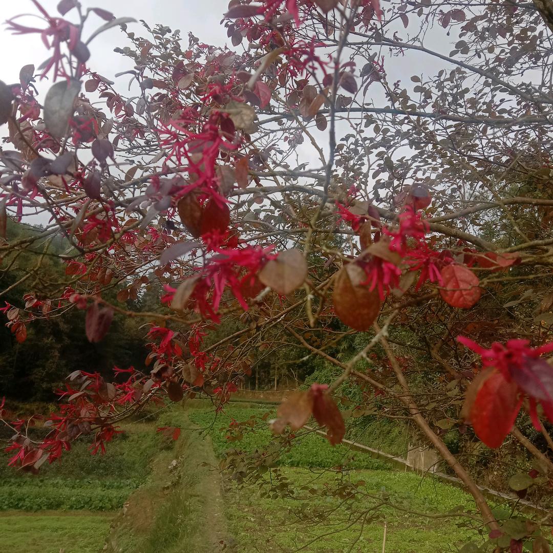 没有良心的男人为什么伤害我