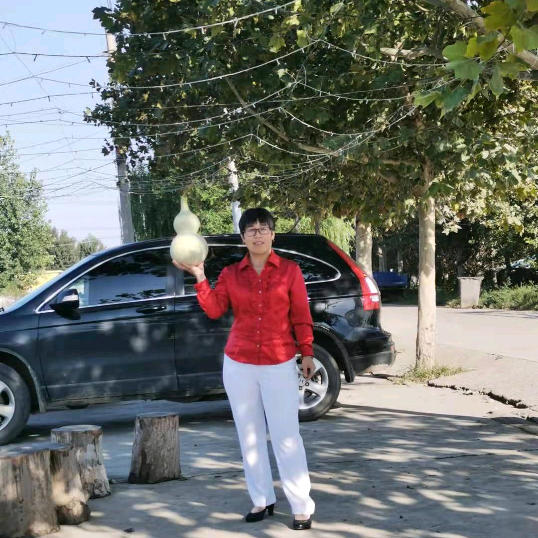 刘风子古法老鹅