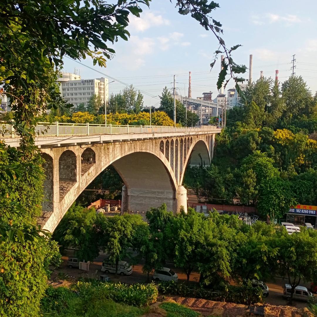 会飞的狼（C g）