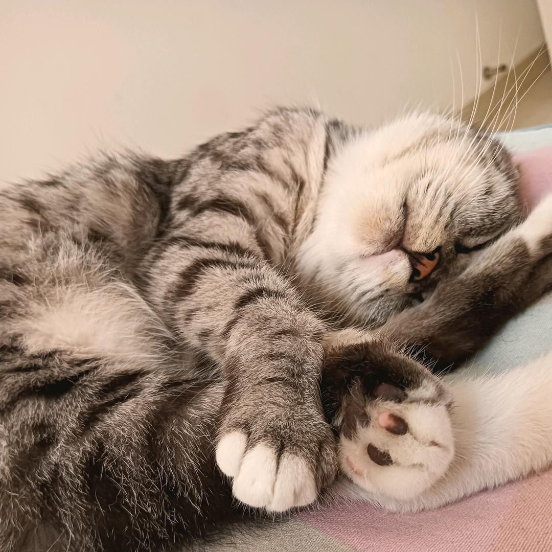 我是心心呀☺️