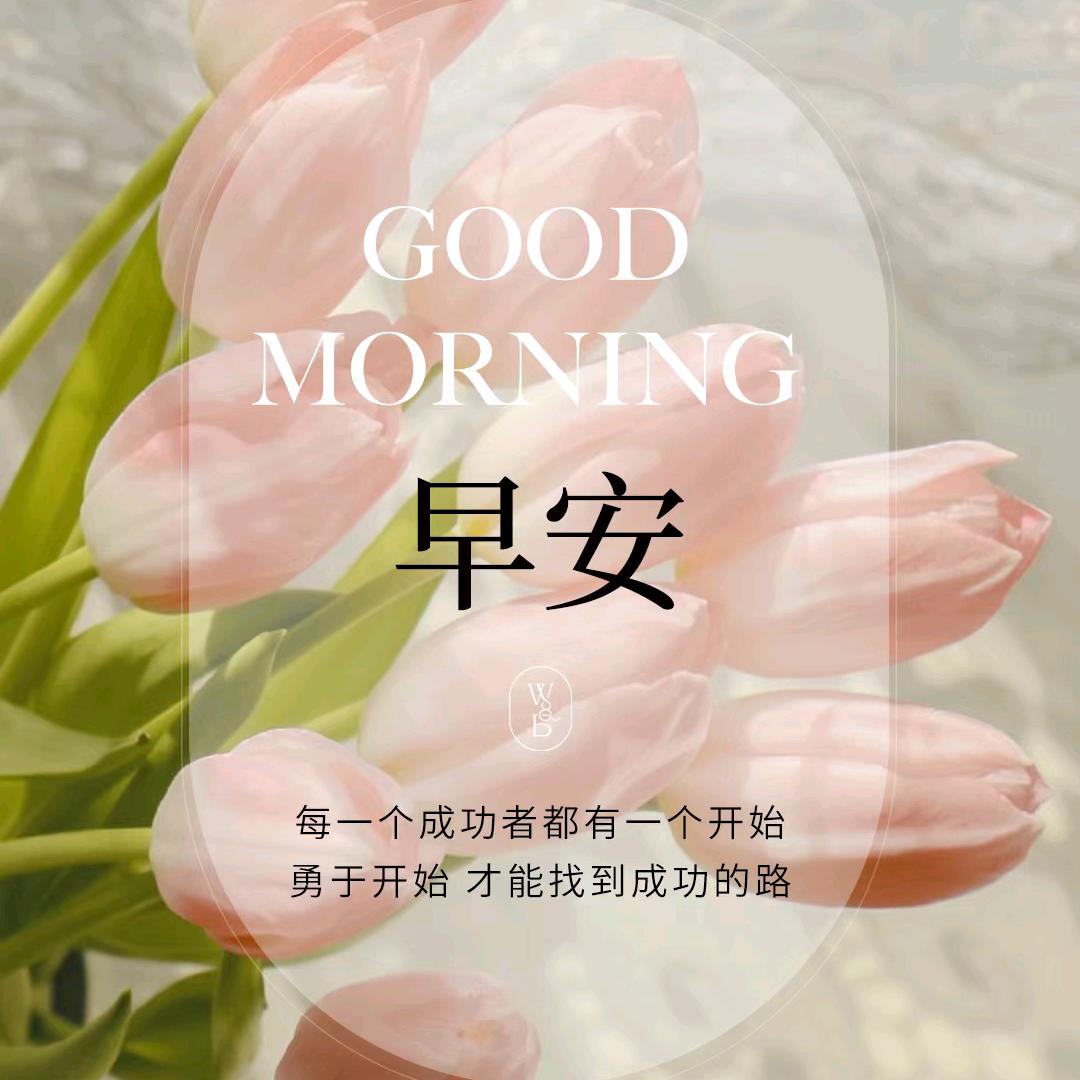洛璃