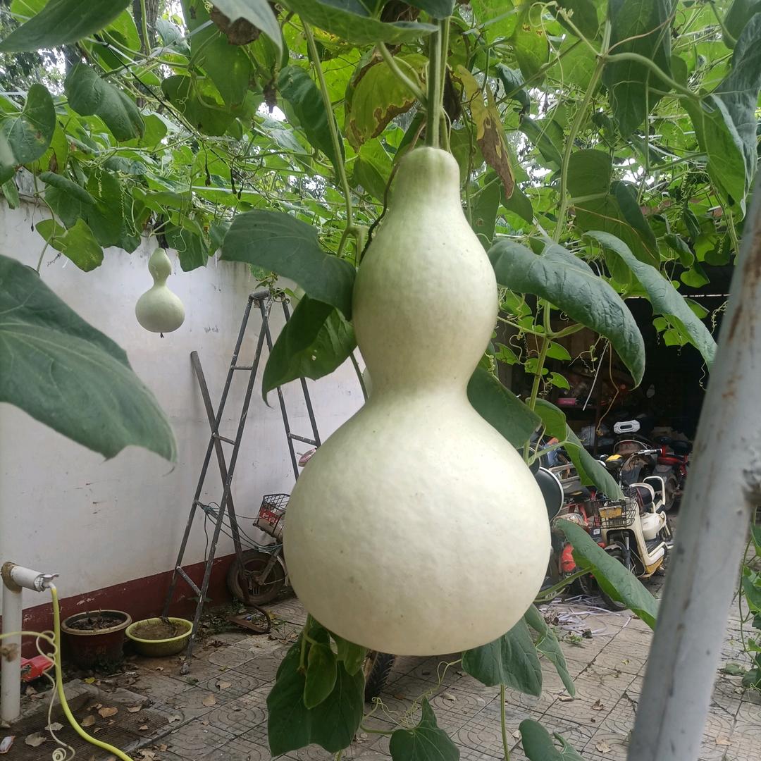 回隆气体经销处