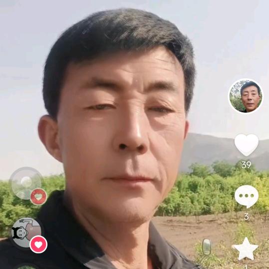 太谷平哥西红柿苗木购销