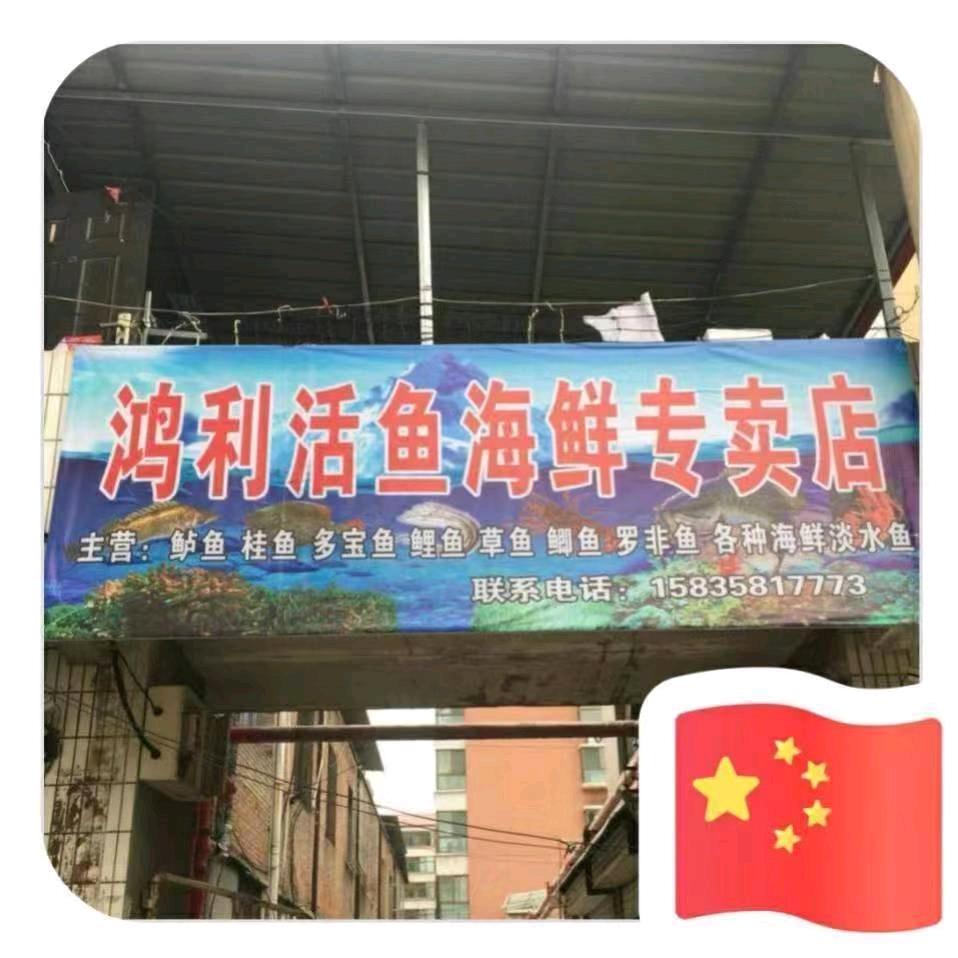 鸿利活鱼海鲜