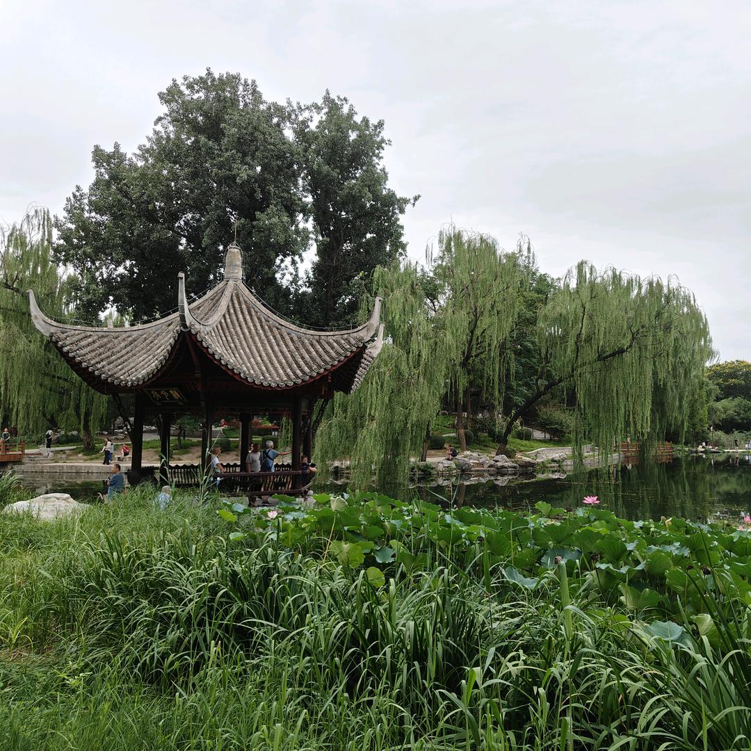 法网恢恢