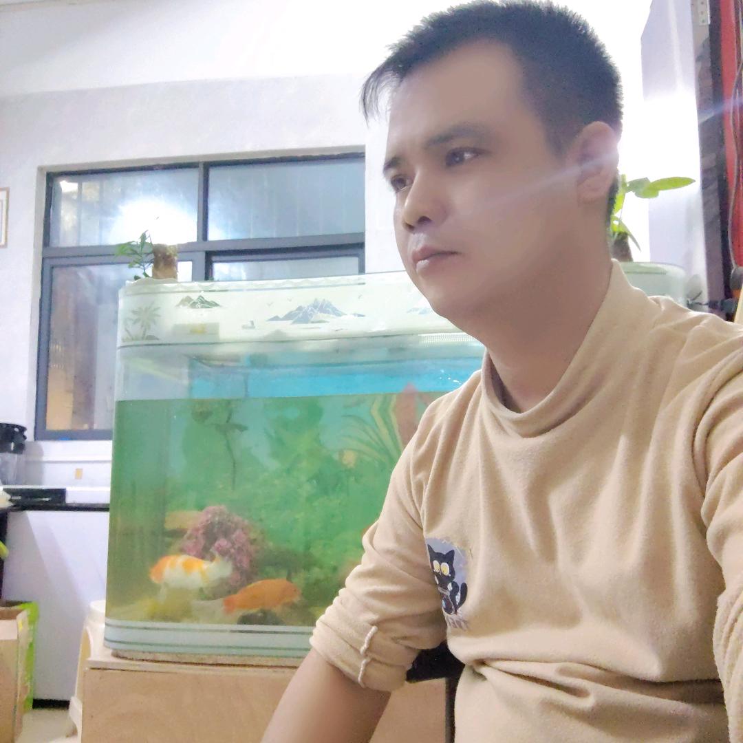 封心锁爱！自由自在