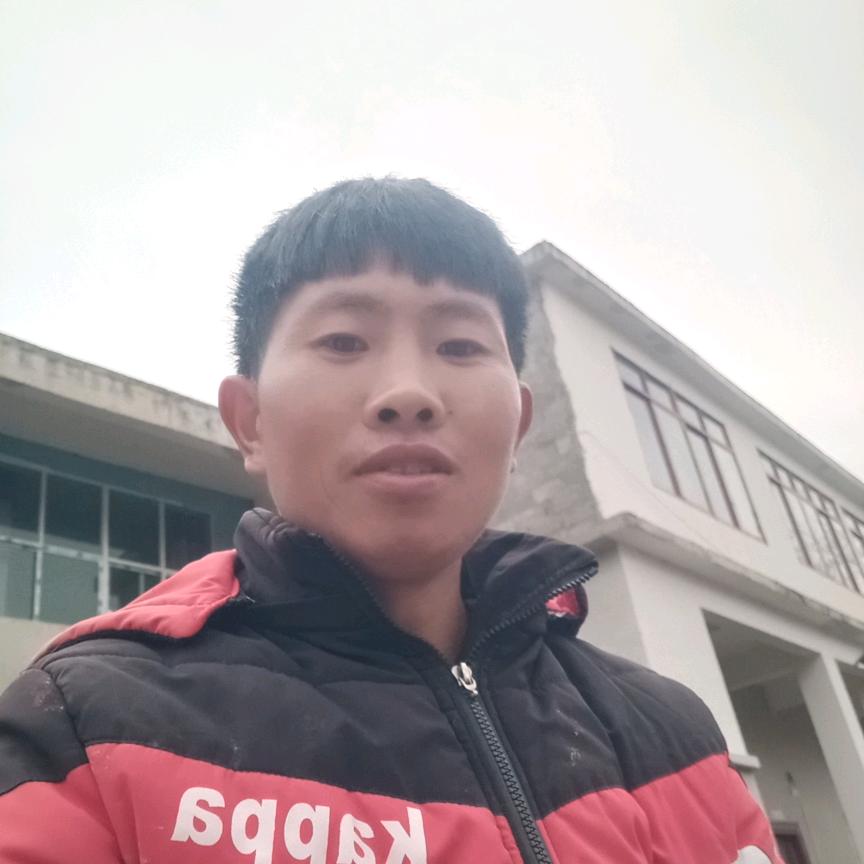 陈云辉