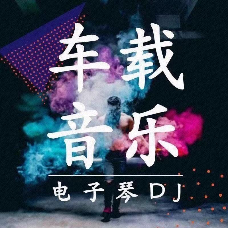 纯音乐电子琴车载DJ