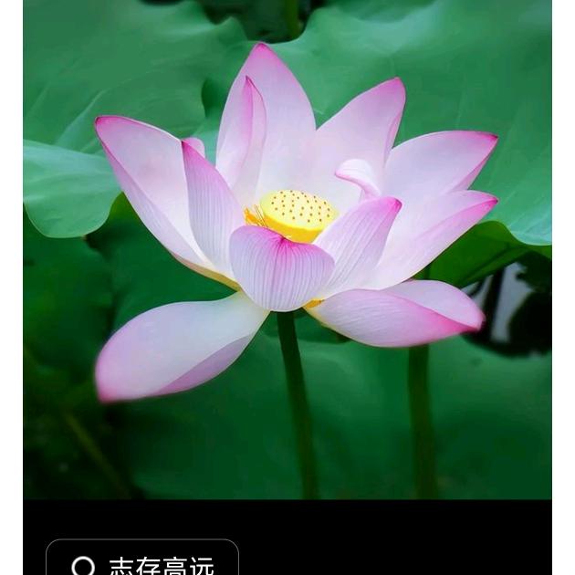 善缘赵姐