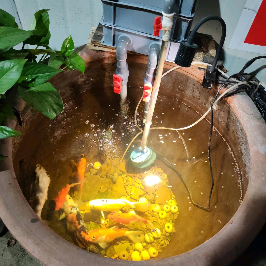 江胜(♡>𖥦<)/♥