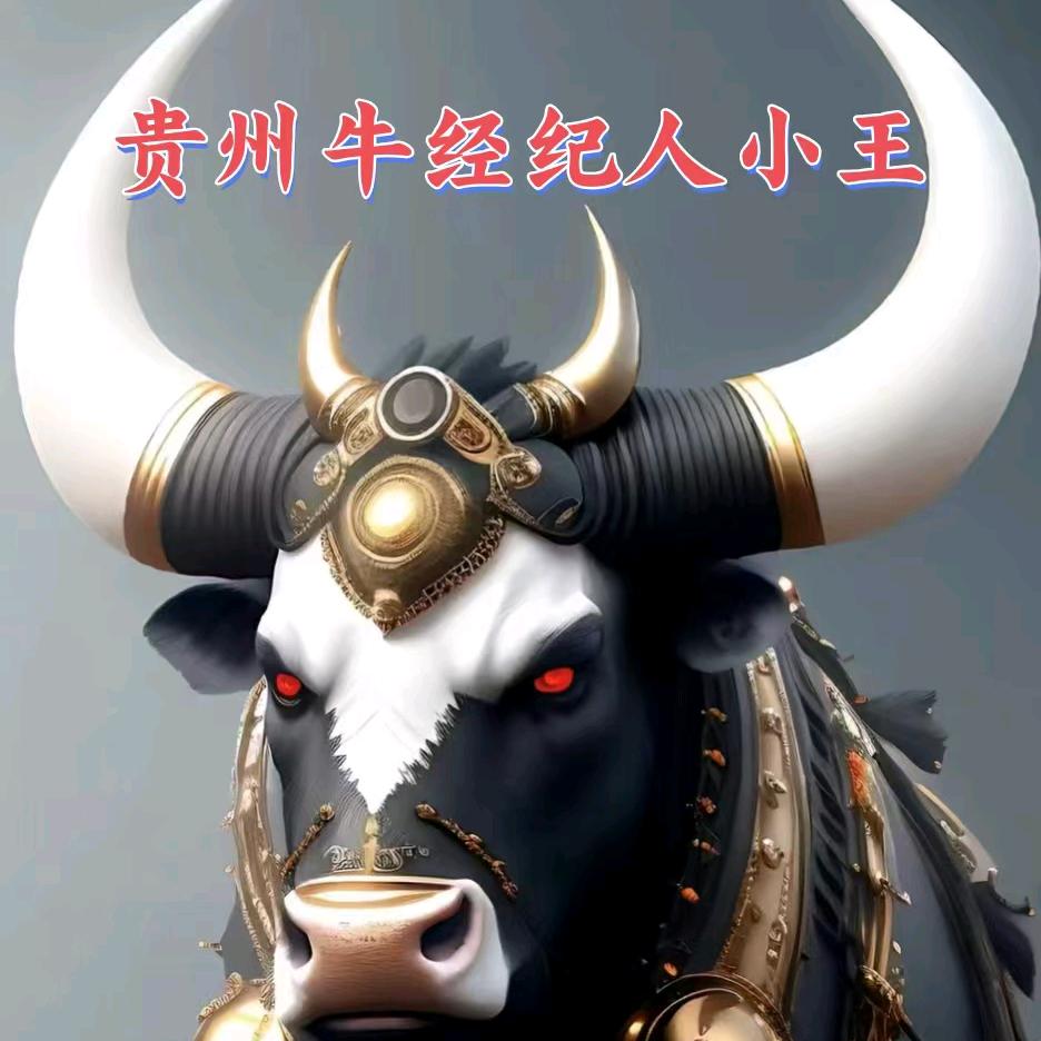 贵州牛经纪人小王