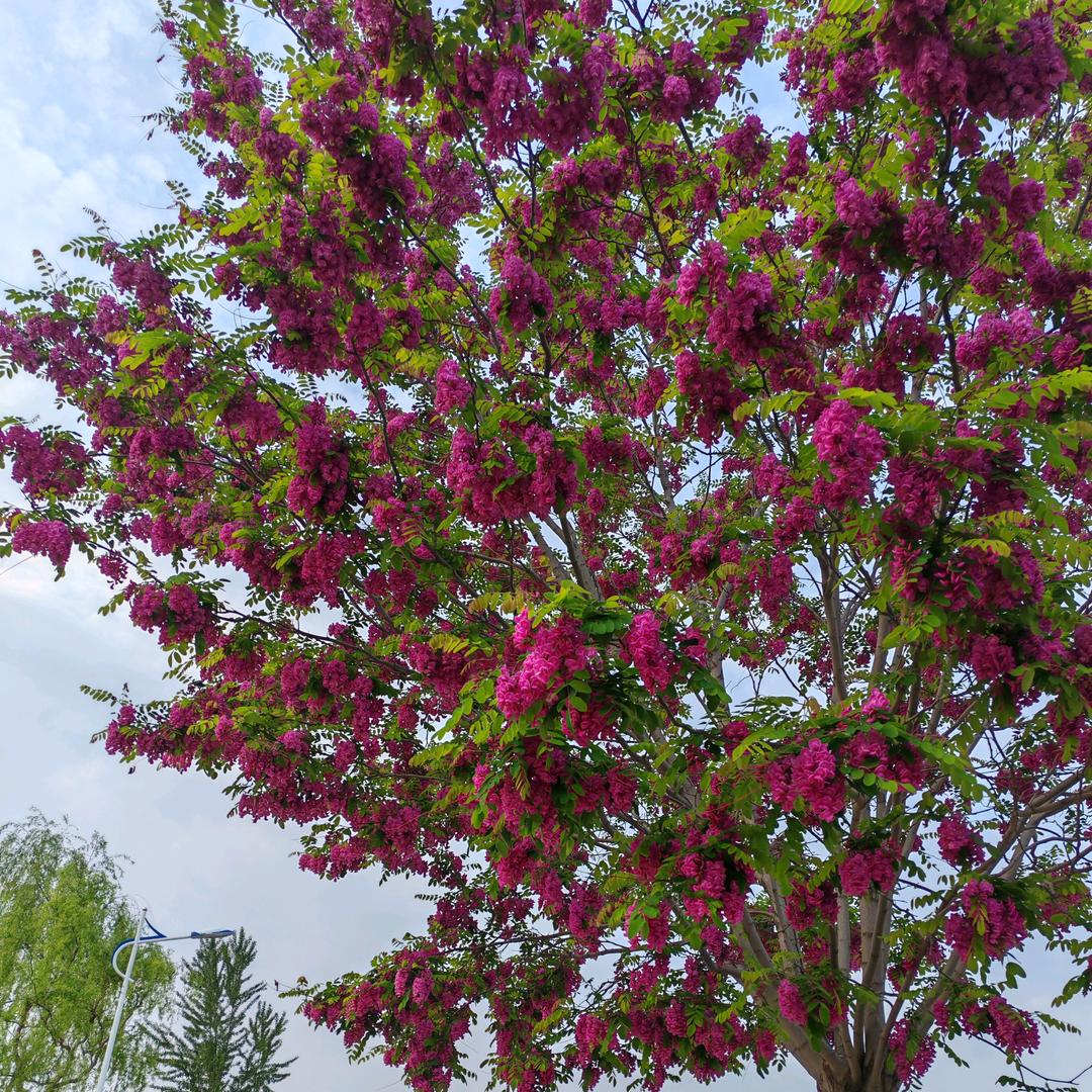 我是暖宝宝🎋🎋🍷🍷🚑🚑