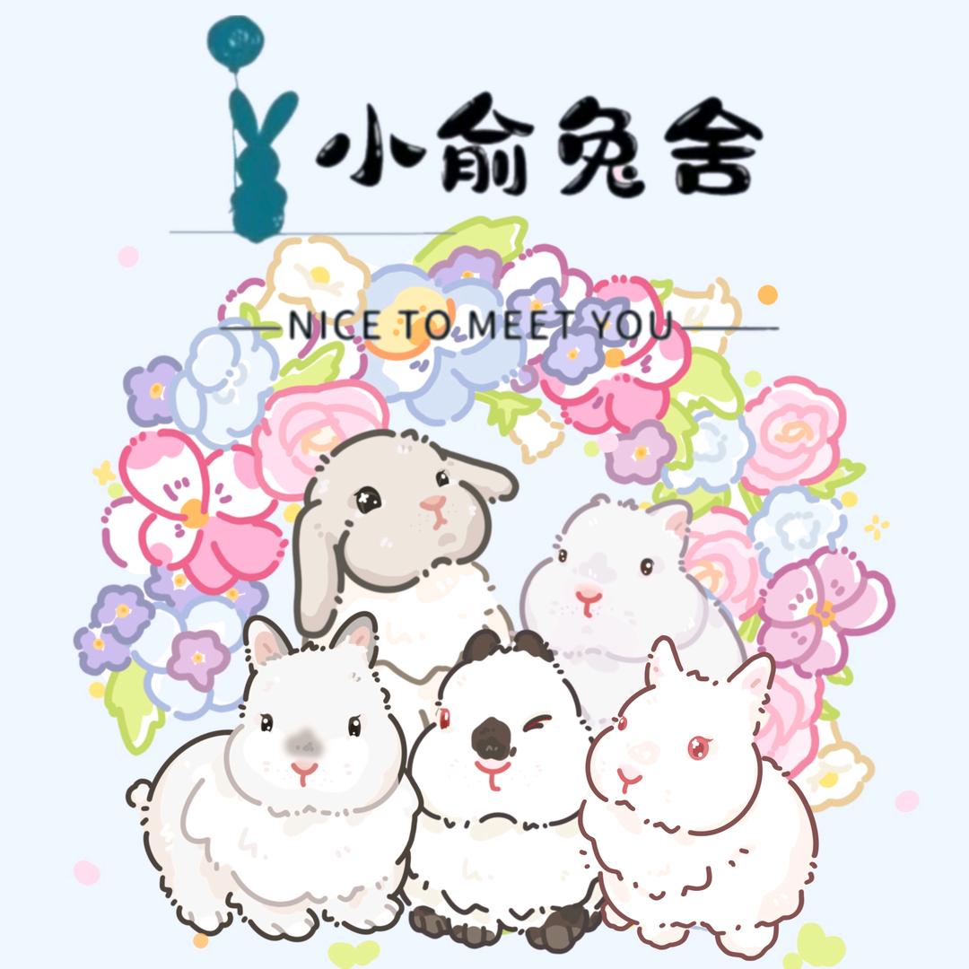 小俞兔舍🐰（12.8生娃月子中）