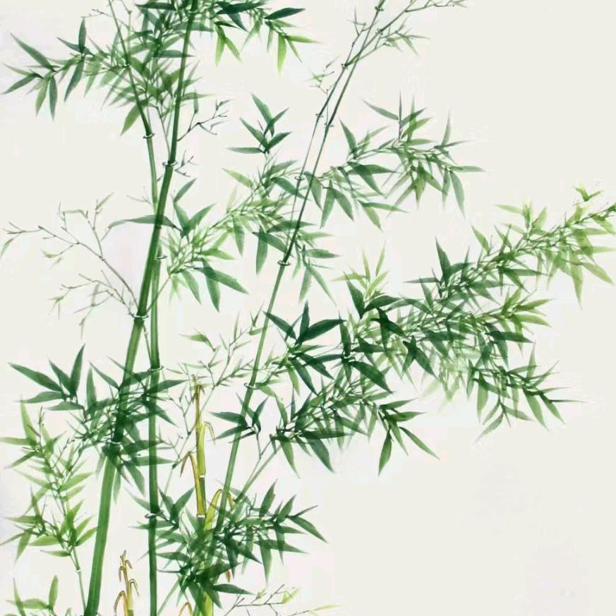 宜锦
