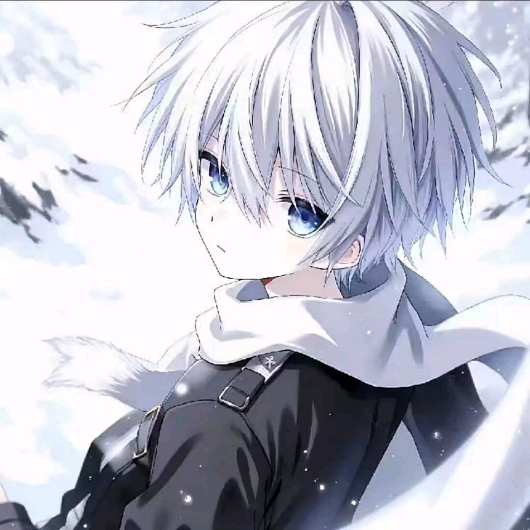茂