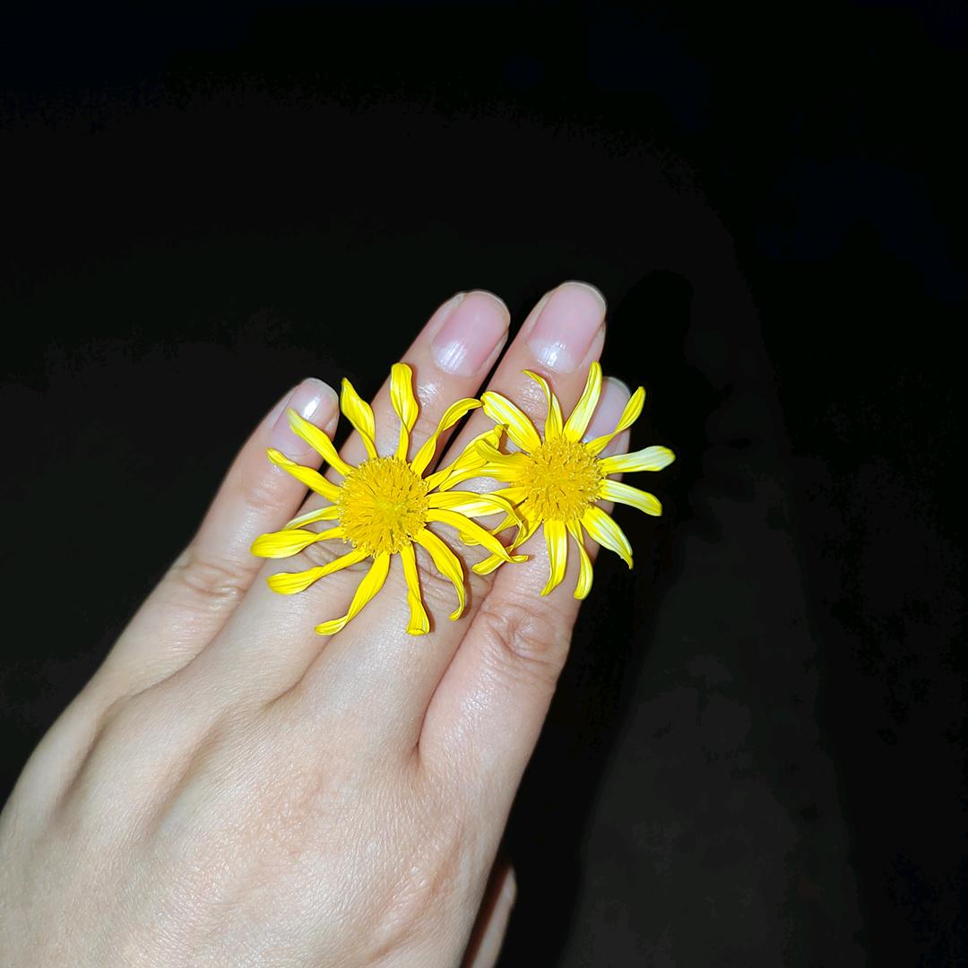 玩儿个毛线