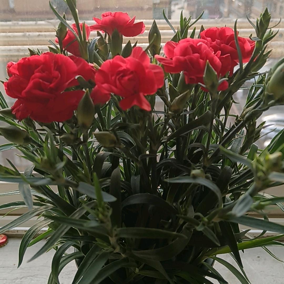 希望明天好更好