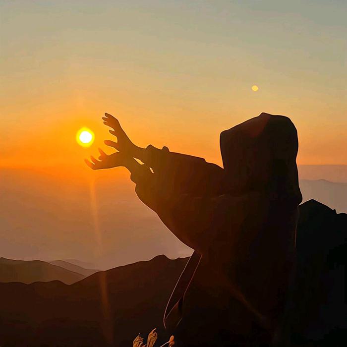 鱼的第八秒重生♏️