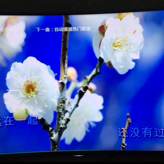 🇨🇳河南安姐🇨🇳