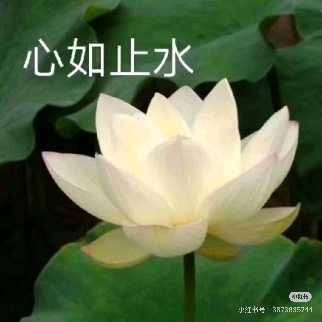 小万聊三餐