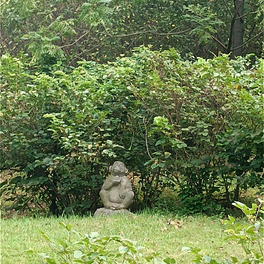 快乐每一天