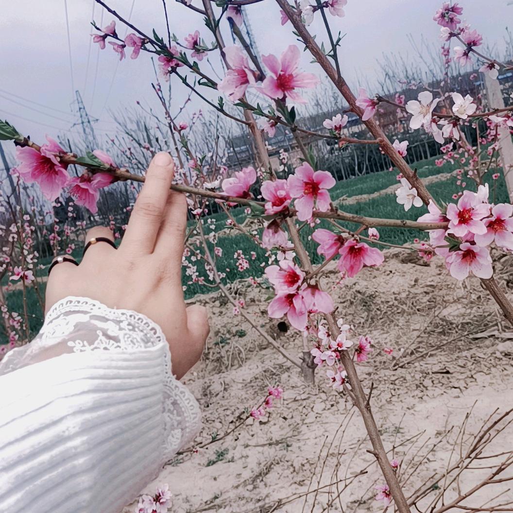安之若命☞珊☜