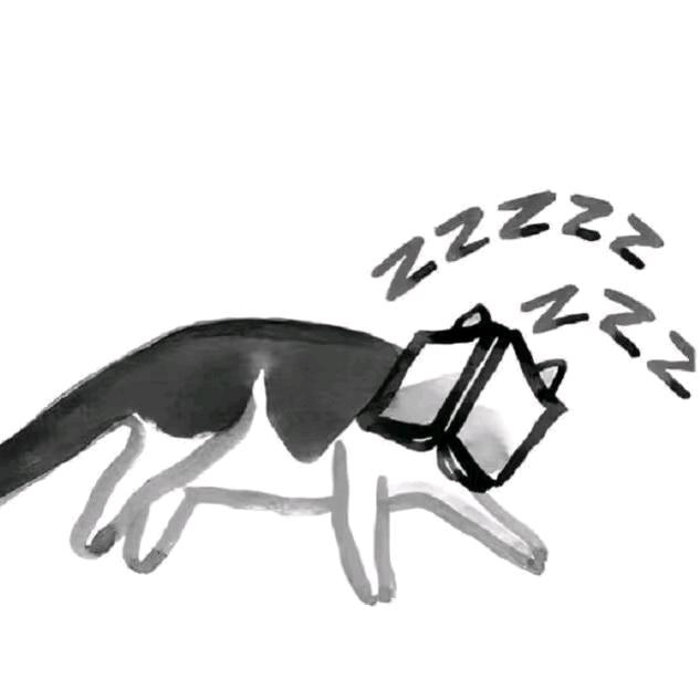 不要变成一只鹦鹉