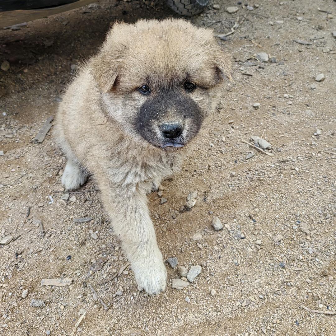 藰ༀ在༈心ε里