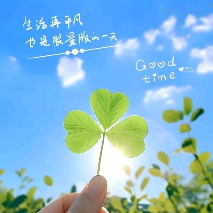 取悦自己 快楽生活😜˂ ʰᵃᵖᵖʸ