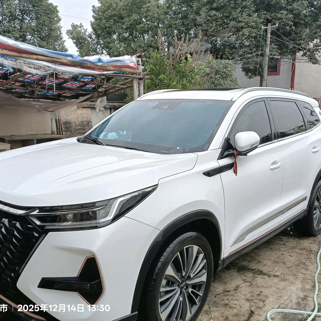 ✨年轻就要拼搏✨