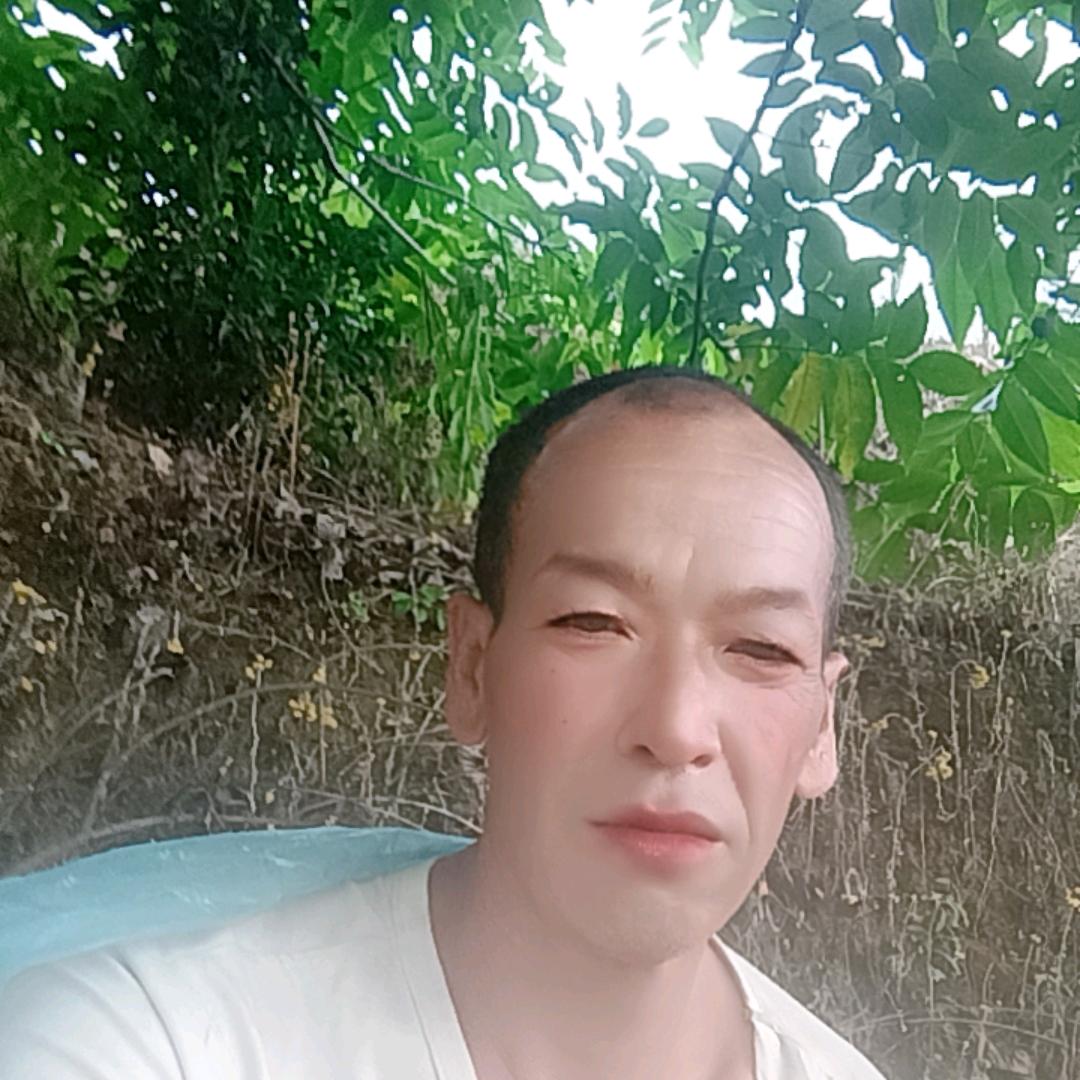 ddgvxi
