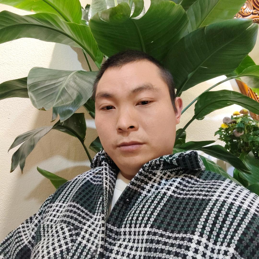 洪城搬家公司。搬家运输行（个体工商户）