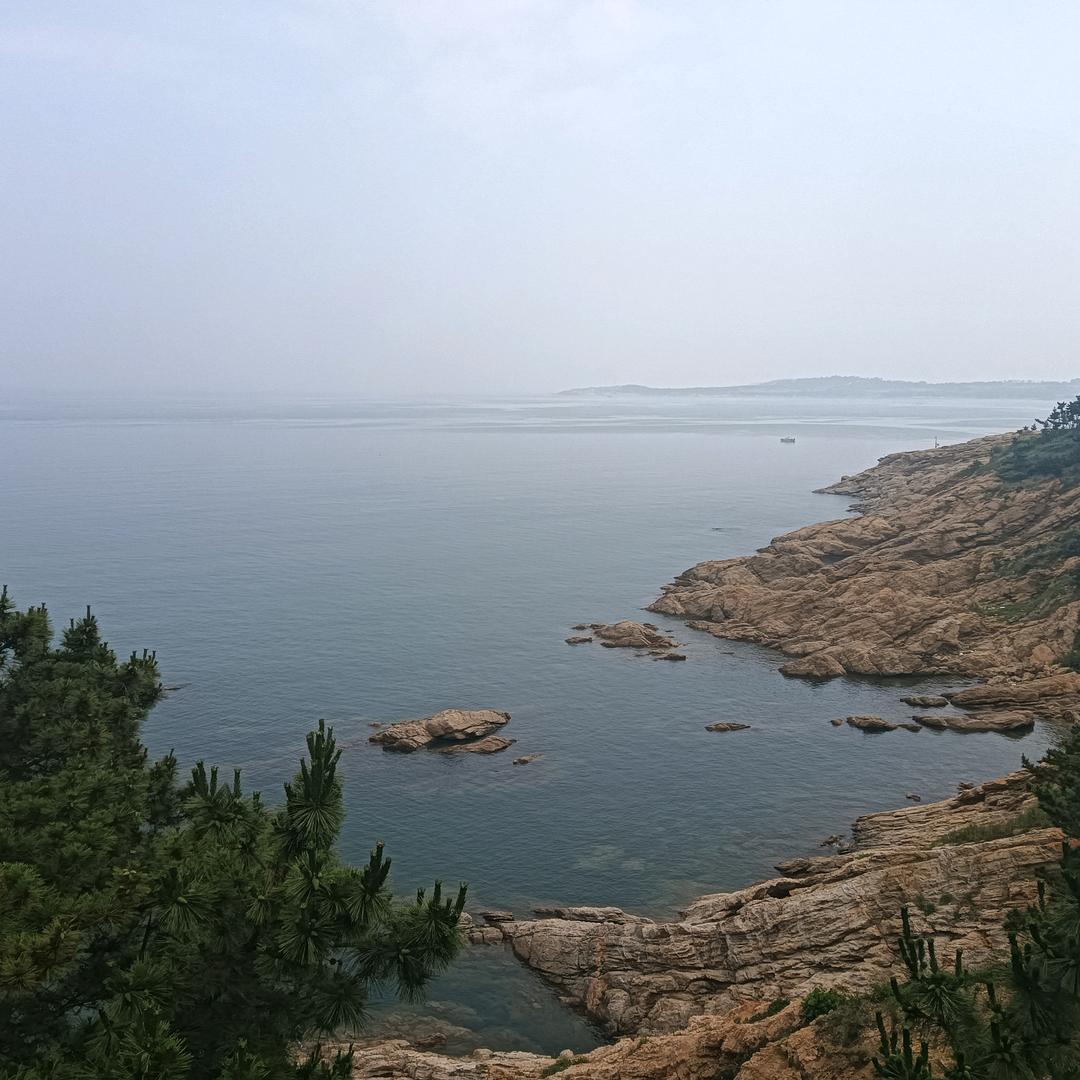 小菠萝