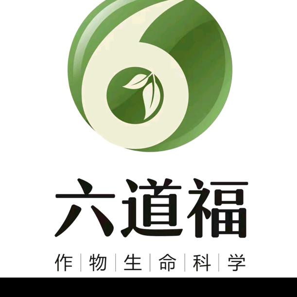 六道福.中国工厂卡斯店